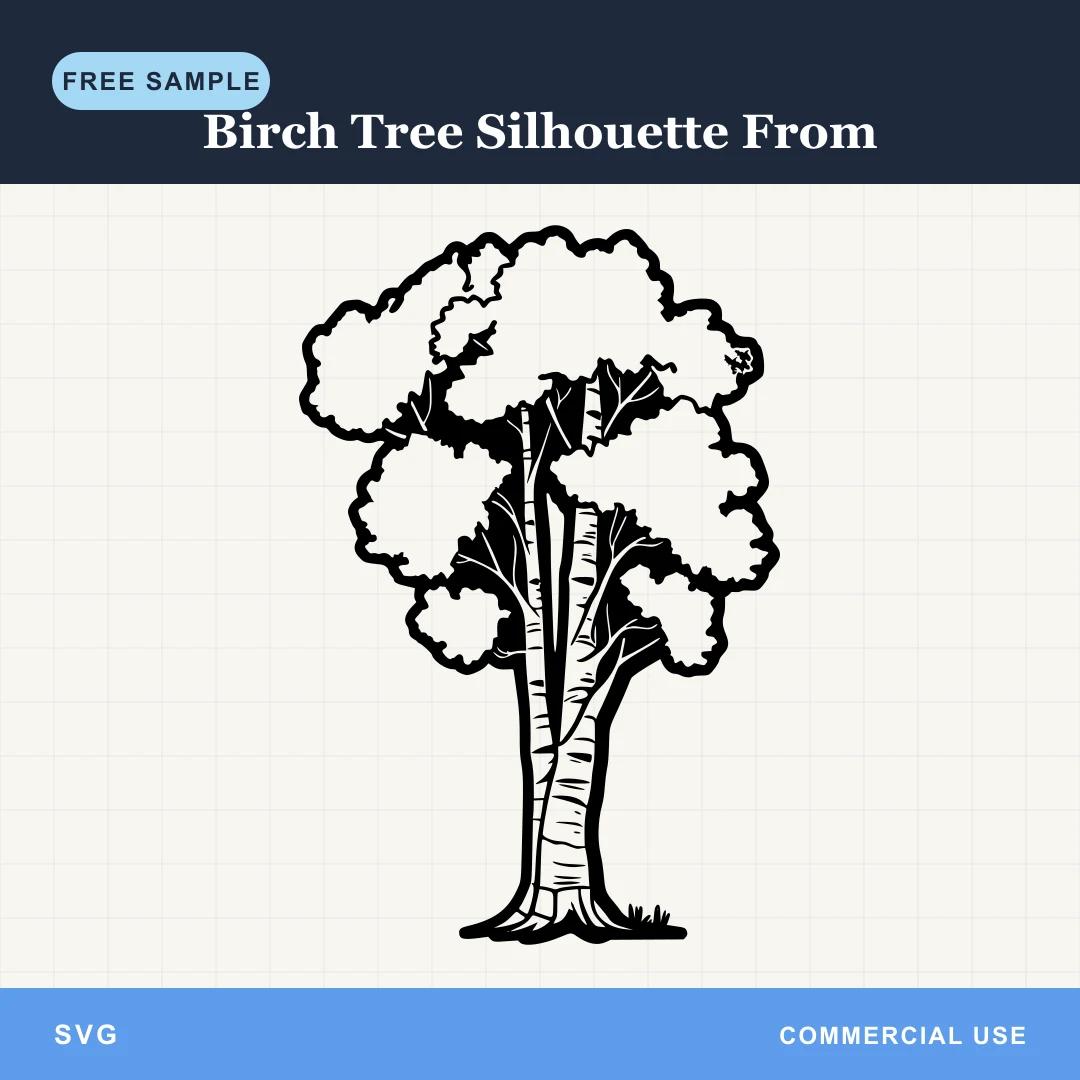 Free Birch Tree Silhouette From SVG