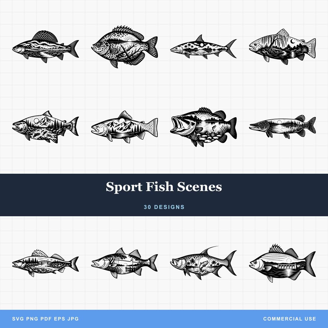 Sport Fish Scenes